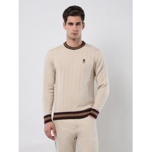 U.S. POLO ASSN. Men's Vertical Striped Patterned Knit Sweater