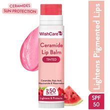 Wishcare Tinted Ceramide Lip Balm with SPF50 PA+++ - Kojic Acid & Niacinamide - For Lip Lightening