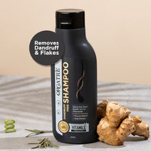 Orgatre Dandruff Free Shampoo With Tea Tree, Ginger, Rosemary Oil, Paraben & Sulphate Free