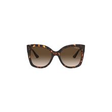 Vogue Eyewear Uv Protected Brown Pillow Women Sunglasses (54)