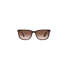 Vogue Eyewear Uv Protected Brown Rectangle Men Sunglasses (55)