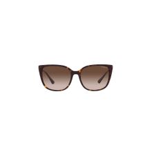 Vogue Eyewear Uv Protected Brown Cat Eye Women Sunglasses (55)