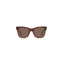 Vogue Eyewear Uv Protected Brown Cat Eye Women Sunglasses (51)