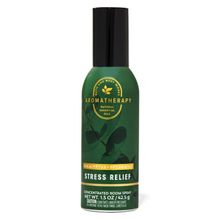Bath & Body Works Eucalyptus Spearmint Concentrated Room Spray