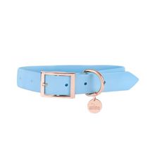 Heads Up For Tails Pastel Pawprint Rain Friendly Dog Collar - Blue