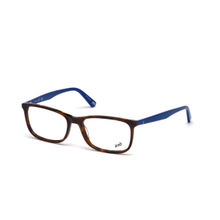 Web Eyewear Brown Plastic Men Frame WE5223 55 052
