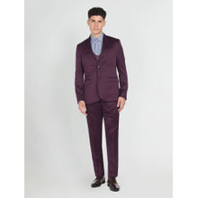 Arrow Men Wine Tailored Regular Fit Solid Suit (Set of 3)