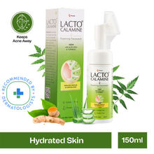 Lacto Calamine Neem & Aloe Foaming Face Wash + Niacinamide,Glycolic Acid For Reducing Pimple