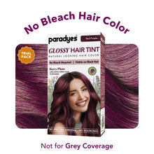 Paradyes No Bleach Mini Berry Plum Glossy Hair Tint