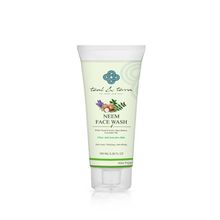 Teal and Terra Neem Face Wash for Purifying, Anti-Acne, Clear Skin