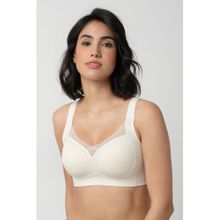 bodyline White Seamless Thin Padded Full Coverage T-Shirt Bra