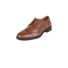 Allen Solly Mens Brown Lace Up Brogues