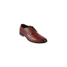 Metro Men Maroon Formal Brogues