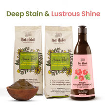 Nat Habit Ready to Apply Henna Paste and Post Care Hibiscus Shampoo Kit for Smooth & Best Results