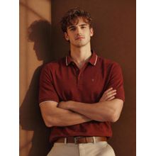 Louis Philippe Men's Rust Polo T-Shirt with Collar Tipping and Branding on Sleeve