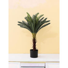 Ekhasa Cycas Artificial Plant with Pot (Big Size: 2 Feet 7 Inch 24 Leaves)