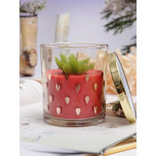 Ekhasa Scented Candles for Gift Set Aroma Soy Wax Jar Candle