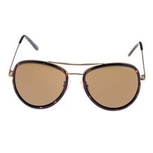 Gio Collection UV Protected Butterfly Women Sunglasses - Brown Frame