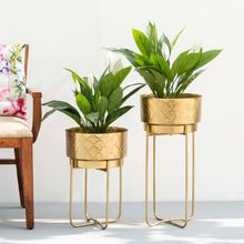 The Decor Remedy Gingko Leaf Indian Gold Planters Set Of 2
