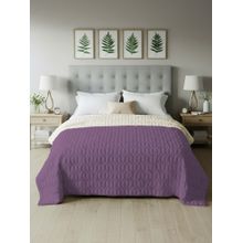 Urban Space Quilted 200 GSM Reversible Winter Comforter, Bed, Plum & Pearl