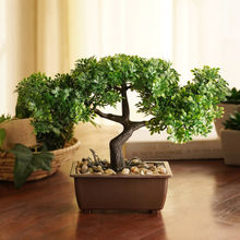 Pure Home + Living Green Faux Bonsai with Cement Pot