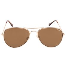 Kenneth Cole Sunglasses Aviator Sunglass With Brown Lens For Women