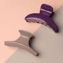 Ayesha Set of Two Classic Beige & Purple Claw Clutch Clips