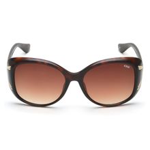IDEE S2883 C2 56 Brown Lens Sunglasses for Women (56)