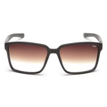 IDEE S2915 C2 60 Brown Lens Sunglasses for Men (60)