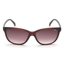 IDEE So202 C2 57 Maroon Lens Sunglasses for Women (57)