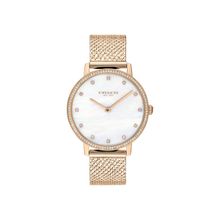 Coach Watches Audrey Gold Toned Stainless Steel Ladies Watch Co14503360w