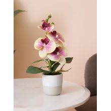 HOME 360 Two-Tone Potted Pink & Yellow Artificial Orchid