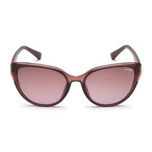 IRUS Women UV Protected Full Rim Brown Frame Red Lens Sunglasses - IRS1245C3SG (62)