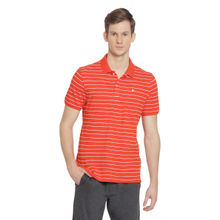 AM SWAN Mens Stripes Fiery Orange - White Polo T-shirt