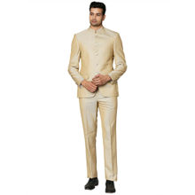 Raymond Medium Beige Suits