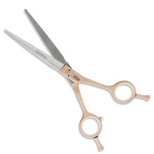 VEGA Professional Goldwings 6 Gold Line Hairdressing Scissor