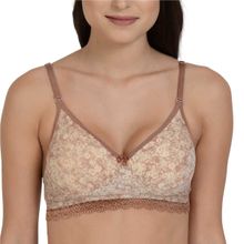 Mod & Shy Printed Non-Wired Lightly Padded T-shirt Bra - Brown