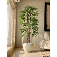 Mason Home Artificial Rhaphis Palm Tree (6 Feet)
