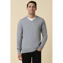 Allen Solly Men Grey Textured V Neck Full Sleeves Sweater