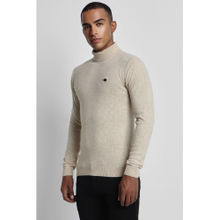Peter England Men Beige Textured Turtle Neck Sweater