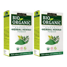 Indus Valley Bio Organic Herbal Henna Powder Combo