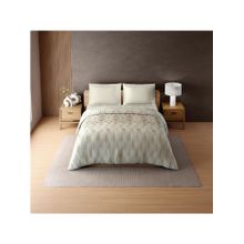SPACES Zera Hygro Cotton 233 TC Percale Graphic Premium Double Quilt - Beige