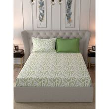 Inhouse by Maspar Glam Fraser Green Print 210TC Cotton King Bed Sheet With 2 Pillow Covers