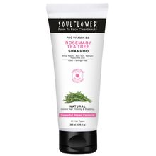 Soulflower Rosemary Tea Tree Anti-Hairfall Shampoo, Sulphate & Paraben Free, Reduces Split-Ends