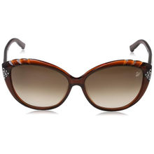 Swarovski Sunglasses Oval Sunglasses with Brown Lens for Women