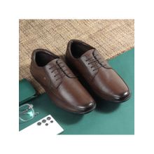 Metro Men Brown Lace Up Formal Derbies