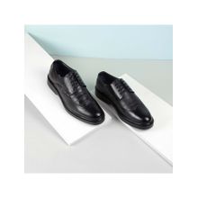 Mochi Men Black Lace Up Formal Brogues