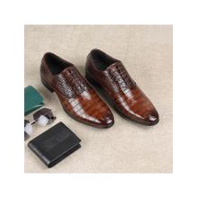 Metro Men Brown Lace Up Formal Oxfords