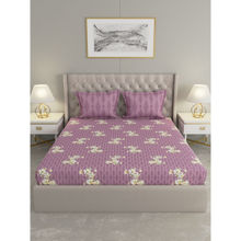 RAYMOND HOME Purple 120 Tc Bedsheet with 2 Pillow Covers (Queen)