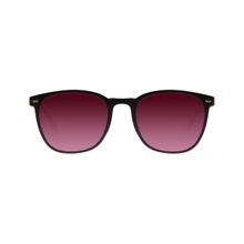 Chilli Beans Mens Maroon Lens Purple Frame Bossa Nova Sunglasses (55)